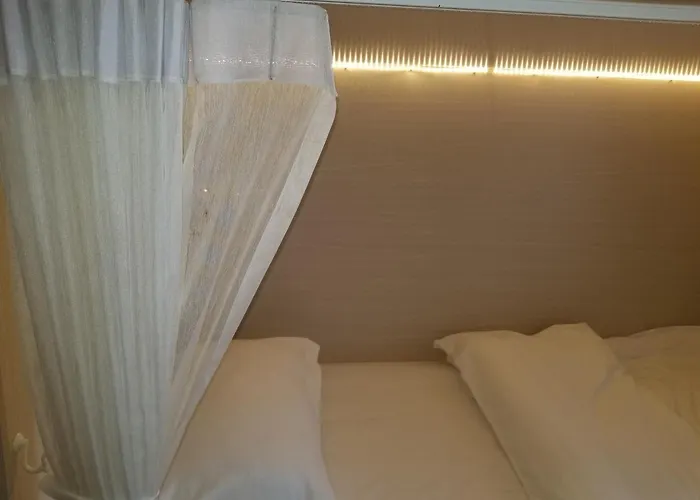 Bed To Hostel